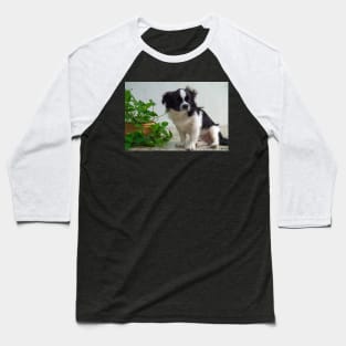 cute puppy Baseball T-Shirt